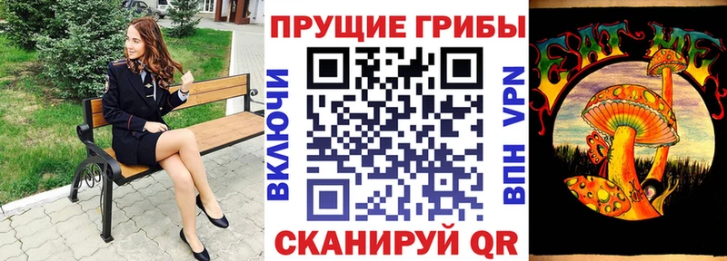 Галлюциногенные грибы мицелий как найти закладки Санкт-Петербург